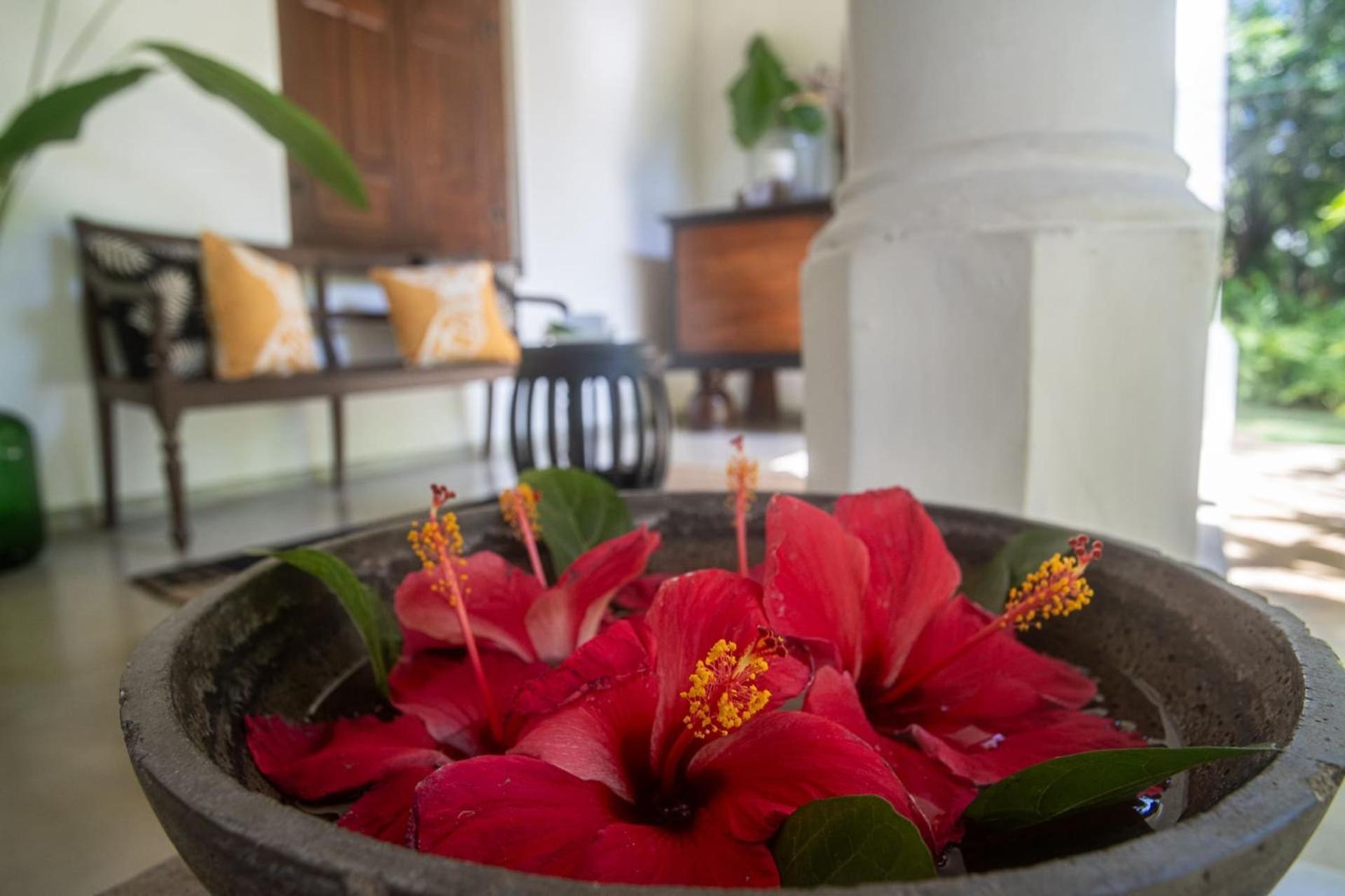 Mo River House Luxury Villa Hikkaduwa Bagian luar foto