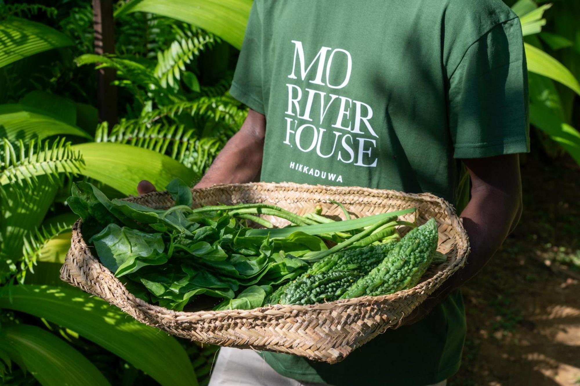 Mo River House Luxury Villa Hikkaduwa Bagian luar foto